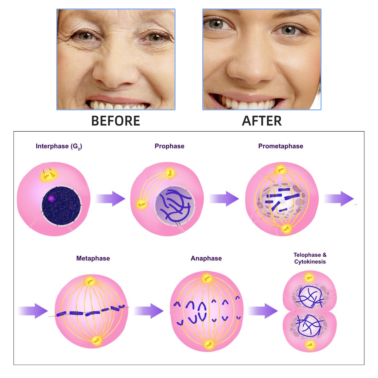 2ml*7pcs Hyaluronic acid Meso  - Hyaluronic Acid Facial Serum review and price